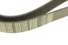 Ремінь генератора Mazda 3/5/6 2.0 DI/CD 02-10 (8PK1226) MEYLE 050 008 1226 (фото 4)