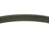 Ремінь генератора Renault Megane/Scenic 1.9dCi/2.0 03-/Nissan Juke 1.6 10- (7PK1125) MEYLE 050 007 1125 (фото 2)