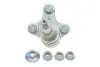 Опора кульова (передня/R) Audi A3 06-/VW Golf IV 05- FAG 825027610 (фото 2)