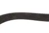Ремінь генератора Ford Transit 2.4 DI-2.4TDCI 00-06 (7PK2875) MEYLE 050 007 2875 (фото 3)