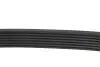 Ремінь генератора Honda CR-V 2.0 01-06/ Kia Sorento 2.5CRDI 02- (7PK1730) MEYLE 050 007 1730 (фото 3)