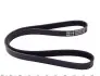 Ремінь генератора Mazda 323/626/ Opel Astra G/Vectra B/C 2.0/2.2 00-08 (5PK1030) MEYLE 050 005 1030 (фото 2)
