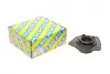 Подушка амортизатора (переднього) Nissan Micra/Renault Clio 1.4/1.5dCi/1.6 16V 03- (R) SNR NTN KBLF41719 (фото 1)