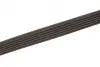 Ремінь генератора Renault Kangoo/Logan/Scenic/Talisman 1.4/1.5 dCi/1.6 03- Gates 6PK1198 (фото 3)