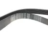 Ремінь генератора Mazda 6 2.0 MZR-CD 07-10/MPV 2.0 DI 02-06 DAYCO 8PK1230 (фото 3)