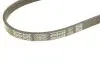 Ремінь генератора BMW 5 (E60) 4.0-4.8i 03-10 (N62) DAYCO 4PK844EE (фото 5)
