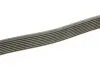 Ремінь генератора MB S-class (W140) 91-98 DAYCO 8PK2465 (фото 2)