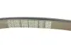 Ремінь генератора MB S-class (W140) 91-98 DAYCO 8PK2465 (фото 4)