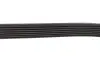 Ремінь генератора Land Rover/Toyota Land Cruiser 120 4.0i/4.6 94- DAYCO 7PK2120 (фото 3)