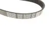 Ремінь генератора Land Rover Discovery III 4.4 04-13 DAYCO 6PK2345 (фото 2)