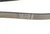 Ремінь генератора Land Rover Discovery III 4.4 04-13 DAYCO 6PK2345 (фото 3)