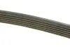 Ремінь генератора VW T4 2.5TDI, 95-03, -AC/Caddy III 1.2TSI, 10-15, -AC DAYCO 6PK1692 (фото 3)
