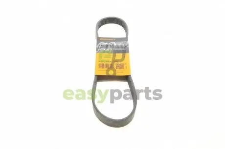 Ремінь поліклиновий Contitech 6PK802EXTRA