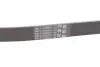 Ремінь генератора Mini Cooper 1.2/1.4 04- Contitech 6PK1388 (фото 1)