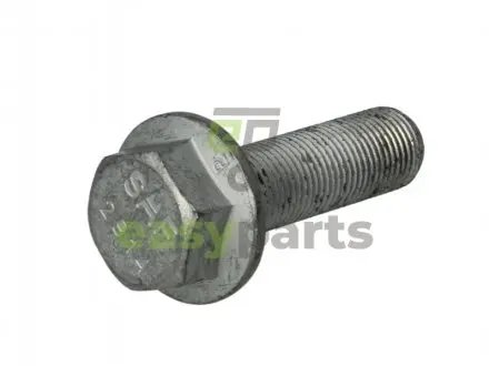 Болт суппорта M16x1,5x55 SAF 4343291410
