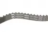 Комплект ГРМ Ford Mondeo/C-Max/Focus/Kuga/Transit Connect 1.5/1.6 EcoBoost 10- (22x117z) Gates K025669XS (фото 6)