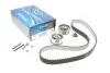 Комплект ГРМ Audi A3/A4/A6/Skoda Octavia/VW Golf V/Passat/Touran 2.0TDI 03- (30x141z) KTB441