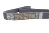 Ремінь генератора MB Vario/Atego 2/LK/LN 2 96- OM 904 (8PK1795) DAYCO 8PK1795HD (фото 4)