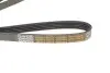 Ремінь генератора Mazda 626 1.8i 92-97 DAYCO 5PK1025HD (фото 3)