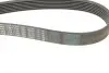 Ремінь генератора Honda CR-V 2.0 01-06 (7PK1730) BOSCH 1987948442 (фото 4)
