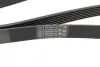 Ремінь генератора Renault Espace 2.2 dCi 02-/Land Rover Discovery 4.0 V8 4x4 98-04 (7PK1775) BOSCH 1987948431 (фото 3)