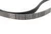 Ремінь генератора Audi A6 S6/RS6 quattro 99-05/A8 3.7/4.2/S8 quattro 94-02 (6PK2680) BOSCH 1987948323 (фото 6)
