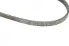 Ремінь генератора Honda CR-V 2.0 16V 4WD 95-02/Subaru Forester/Impreza/Legacy 1.5-2.5 92-09 (4PK895) BOSCH 1987947559 (фото 5)