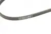 Ремінь генератора Honda CR-V 2.0 16V 4WD 95-02/Subaru Forester/Impreza/Legacy 1.5-2.5 92-09 (4PK895) BOSCH 1987947559 (фото 4)