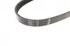 Ремінь генератора Ford C-Max/ Focus/ Volvo S40 1.8-2.0 06-12 (5PK705) BOSCH 1987946134 (фото 2)
