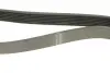 Ремень генератора Nissan Micra/Note 1.2 10- (7PK1165) BOSCH 1987945709 (фото 10)