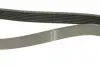 Ремень генератора Nissan Micra/Note 1.2 10- (7PK1165) BOSCH 1987945709 (фото 4)