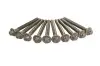 Комплект болтов с головкой системы TORX из черного металла VICTOR REINZ 14-32212-01 (фото 1)