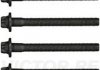 Комплект болтов с головкой системы TORX из черного металла VICTOR REINZ 14-32212-01 (фото 2)