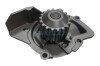 DAYCO CITROEN помпа води C5 08-,Jumpy 2.0HDI 10-,Peugeot 2.0HDi,Ford Focus,Kuga,Mondeo 2.0TDCi DP224