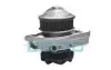 DAYCO  FIAT помпа води Doblo,Punto,Palio 1.2 96- DP041