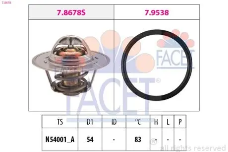 Термостат, охолоджуюча рідина FACET 7.8678