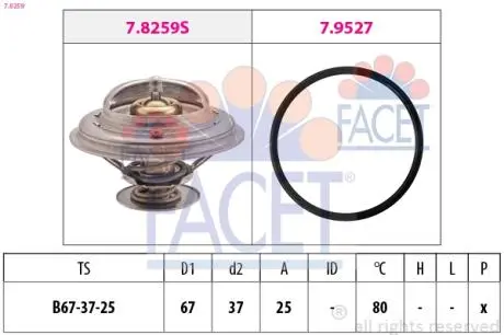 Термостат, охолоджуюча рідина FACET 7.8259