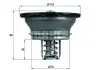 Термостат VOLVO/RVI MAHLE / KNECHT THD 3 82 (фото 1)