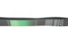 Ремінь генератора Man TGA 00-/ E2000 95-00 (8PK880) Gates 8PK880HD (фото 4)