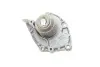 Помпа води Renault Megane II/Laguna II/Scenic II 1.9 dCi 01- HEPU P957 (фото 6)