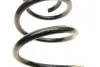 Пружина (задня) Suzuki Swift 1.3/DDiS/1.5 05- (хетч.)/Ford Fusion 1.25/1.4-1.6/TDCi 04-12 (ун./HD) LESJOFORS 4288912 (фото 2)