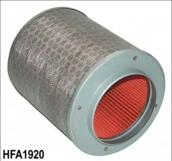 Фільтр повітряний HIFLO HFA1920