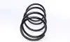 Пружина (передня) Toyota Rav4 II 2.0 4WD 00-05 (SUV) LESJOFORS 4092590 (фото 5)
