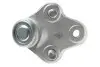 Опора кульова (передня/знизу) Toyota Corolla 92-08/Rav 4 00-05/Prius 00-04/Celica 99-05 LEMFORDER 30691 01 (фото 3)