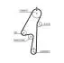 Пасок ГРМ 132z Volvo S60 2,4 D 07/01- 5580XS