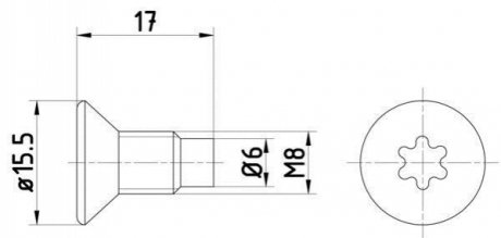 Болт, диск тормозного механизма HELLA 8DZ 355 209-041 (фото 1)