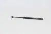 Газовий амортизатор багажника FORD FOCUS (DAW, DBW) 10/98-02 TAILGATE WITH WIPER - HATCHBACK [430719022300] MAGNETI MARELLI GS0223 (фото 1)