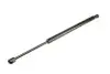 Газовий амортизатор багажника FORD FOCUS (DAW, DBW) 10/98-02 TAILGATE WITH WIPER - HATCHBACK [] MAGNETI MARELLI 430719022300 (фото 1)