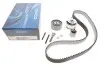Комплект ГРМ Audi A3/Skoda Octavia/Superb/VW Golf V/Passat/Touran 2.0TDI 03- (30x141z) KTB486
