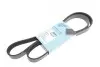 Ремінь генератора Citroen Berlingo/ Fiat Scudo 1.9D/ Ford Fiesta 1.3 95-03/ Hyundai Accent 1.5 02-05 BLUE PRINT AD06R1440 (фото 1)